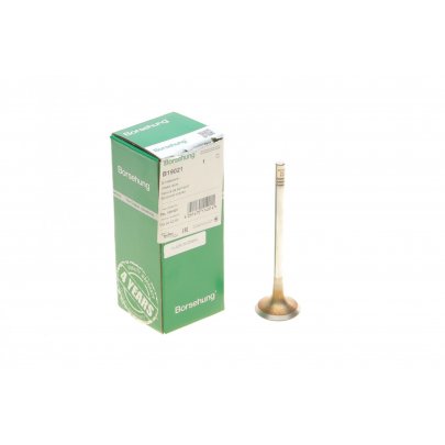 Клапан впускний Volkswagen Passat B6 / Фольксваген Пассат Б6 2.0TDI 2005-2010 B19021 BORSEHUNG (Німеччина)