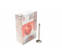 Клапан випускний Volkswagen Passat B6 / Фольксваген Пассат Б6 2.0TDI 2005-2010 PAUD063-A-0-N AMP (Польща)