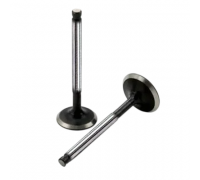 Клапан впускной Volkswagen Passat B6 / Фольксваген Пассат Б6 1.6TDI 2005-2010 V016690 BGA (Великобритания)