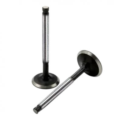 Клапан впускной Volkswagen Passat B6 / Фольксваген Пассат Б6 1.6TDI 2005-2010 V016690 BGA (Великобритания)