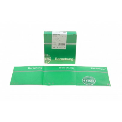 Комплект поршневих кілець (стандарт, двигун: BLF) Volkswagen Passat B6 / Фольксваген Пассат Б6 1.6FSI 2005-2010 B19041 BORSEHUNG (Німеччина)