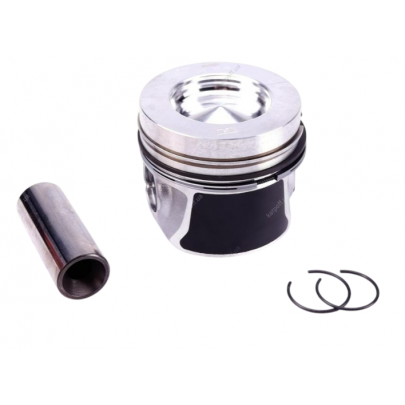 Поршень (стандарт) Volkswagen Passat B6 / Фольксваген Пассат Б6 1.6TDI 2005-2010 130050002500 NPR (Японія)