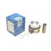 Поршень (+0,25) Volkswagen Passat B6 / Фольксваген Пассат Б6 2.0TDI 2005-2010 40558610 KOLBENSCHMIDT (Німеччина) - Фото №1