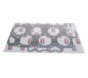 Прокладка головки блоку циліндрів Volkswagen Passat B6 / Фольксваген Пассат Б6 3.6FSI 2005-2010 11031391901 VIKA (Тайвань)