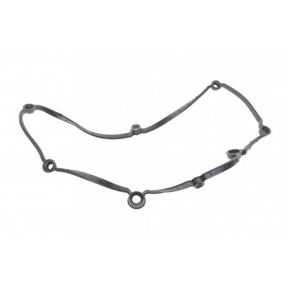 Прокладка кришки клапанів Volkswagen Passat B6 / Фольксваген Пассат Б6 1.6TDI 2005-2010 722.100 ELRING  (Німеччина)