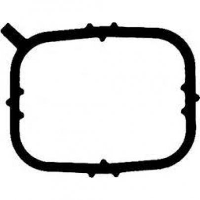 Прокладка впускного коллектора Volkswagen Passat B6 / Фольксваген Пассат Б6 1.6TDI 2005-2010 0256086 Elwis Royal (Дания)