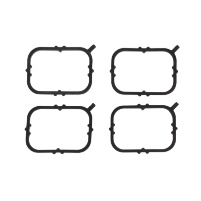 Прокладка впускного коллектора (4шт) Volkswagen Passat B6 / Фольксваген Пассат Б6 1.6TDI 2005-2010 HA5070 PAYEN (США)