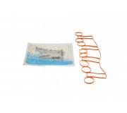 Прокладка впускного коллектора Volkswagen Passat B6 / Фольксваген Пассат Б6 2.0TDI 2005-2010 71-37563-00 VICTOR REINZ (Германия)