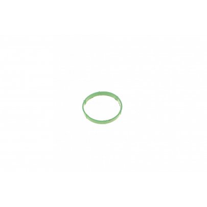 Прокладка впускного коллектора (двигатель: BSE, BSF) Volkswagen Passat B6 / Фольксваген Пассат Б6 1.6FSI 2005-2010 RWS2687 ROTWEISS (Турция)