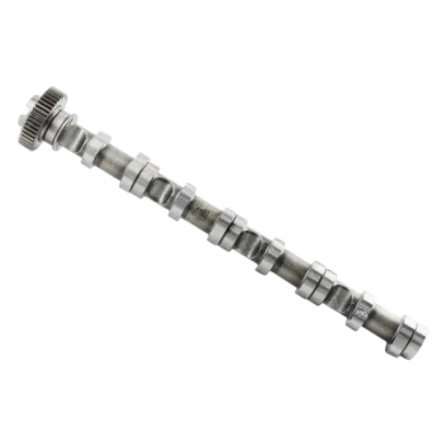 Розподільний вал (впуск) Volkswagen Passat B6 / Фольксваген Пассат Б6 2.0TDI 2005-2010 C347 FAI AUTOPARTS (Велика Британія)