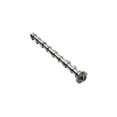 Розподільний вал (впуск) Volkswagen Passat B6 / Фольксваген Пассат Б6 2.0TDI 2005-2010 CS9611 BGA (Велика Британія)