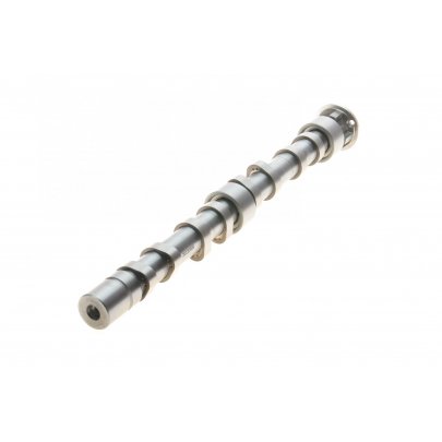 Розподільний вал (випуск, двигун: CAXA) Volkswagen Passat B6 / Фольксваген Пассат Б6 1.4TSI 2005-2010 CM05-2276 FRECCIA (Італія)