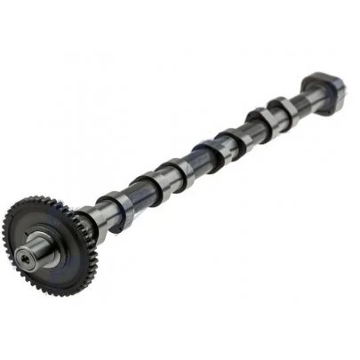 Распределительный вал (выпуск) Volkswagen Sharan 2 / Фольксваген Шаран 2 2.0 (бензин) 2010-2022 CM05-2348 FRECCIA (Италия)