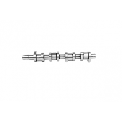 Распределительный вал VW Touran / Фольксваген Туран 1.9TDI 2003-2015 33805 ASAM (Румыния)