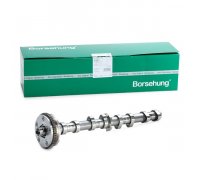 Распределительный вал (впуск) Volkswagen Passat B6 / Фольксваген Пассат Б6 1.8TSI 2005-2010 B18979 BORSEHUNG (Германия)