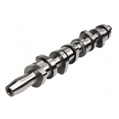 Распределительный вал (двигатель: BKC,BXE) Volkswagen Passat B6 / Фольксваген Пассат Б6 1.9TDI 2005-2010 CS9901 BGA (Великобритания)