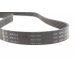 Ремінь генератора (1613мм, з кондиціонером) Volkswagen Passat B6 / Фольксваген Пассат Б6 3.2FSI 2005-2010 6PK1613 INA (Німеччина) - Фото №3