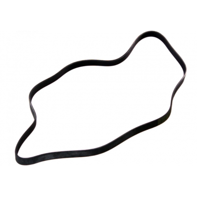 Ремінь генератора (1613мм, з кондиціонером) Volkswagen Passat B6 / Фольксваген Пассат Б6 3.2FSI 2005-2010 SR6PK1613 STARLINE (Чехія)