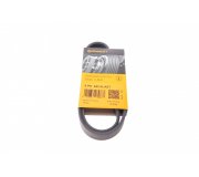 Ремінь генератора (842мм, без кондиціонера) Volkswagen Passat B6 / Фольксваген Пассат Б6 1.6TDI 2005-2010 6PK842ELAST CONTITECH (Німеччина)