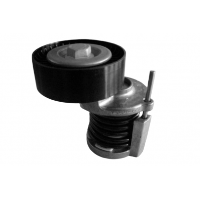 Натягувач ременя генератора (70x24мм) Volkswagen Passat B6 / Фольксваген Пассат Б6 2.0TDI 2005-2010 FT10517 Fast (Італія)