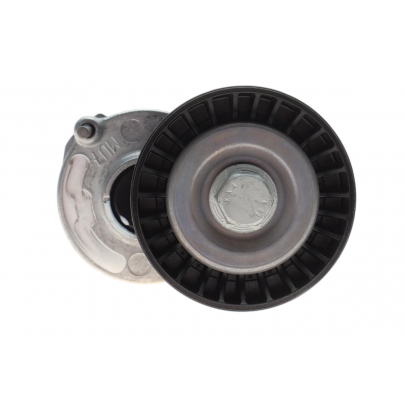 Натягувач ременя генератора (70x24мм) Volkswagen Passat B6 / Фольксваген Пассат Б6 2.0TDI 2005-2010 500251SP CAFFARO (Польща)