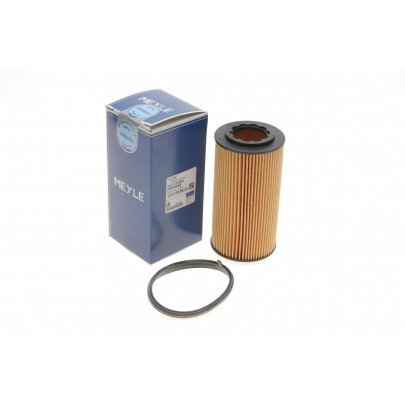 Масляный фильтр (высота 125мм) Volkswagen Passat B6 / Фольксваген Пассат Б6 2.0TFSI 2005-2010 1001150016 MEYLE (Германия)
