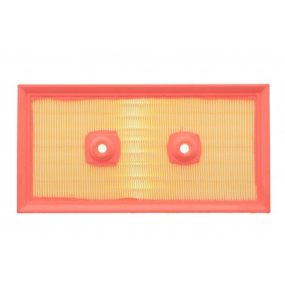 Фільтр повітряний Volkswagen Passat B6 / Фольксваген Пассат Б6 1.6FSI 2005-2010 F230801 KAMOKA (Польща)