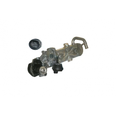 Клапан EGR рециркуляции отработанных газов (с радиатором) Volkswagen Passat B6 / Фольксваген Пассат Б6 1.6TDI 2005-2010 555374A ERA (Италия)