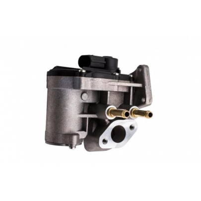 Клапан EGR рециркуляції відпрацьованих газів (двигун: BLF) Volkswagen Passat B6 / Фольксваген Пассат Б6 1.6FSI 2005-2010 EGR12-194 FRECCIA (Італія)