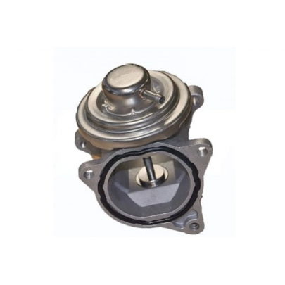 Клапан EGR рециркуляції відпрацьованих газів Volkswagen Passat B6 / Фольксваген Пассат Б6 1.9TDI 2005-2010 EGR12-101 FRECCIA (Італія)