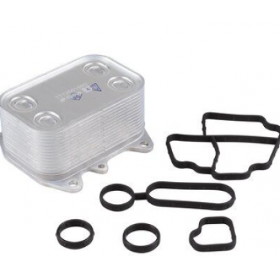 Радіатор масляний / теплообмінник (50x70x110) Volkswagen Passat B6 / Фольксваген Пассат Б6 1.6TDI 2005-2010 1113501500 JP GROUP (Данія)