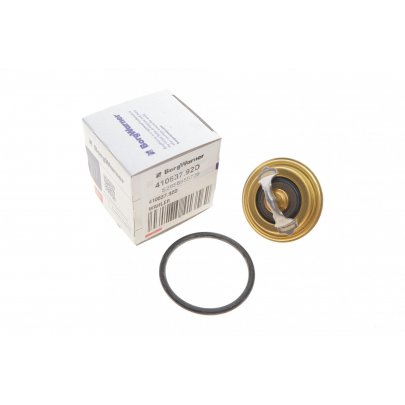 Термостат (92 °C, без корпуса) Volkswagen Passat B6 / Фольксваген Пассат Б6 1.6TDI 2005-2010 410537.92D WAHLER (Германия)