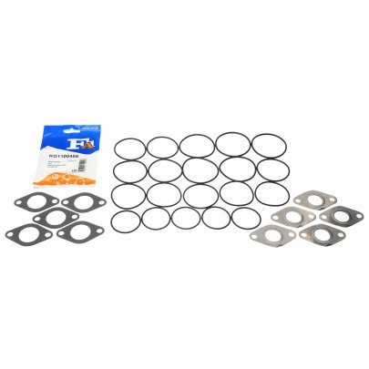 Прокладка клапана EGR (комплект) Volkswagen Passat B6 / Фольксваген Пассат Б6 2.0TDI 2005-2010 KG110045E FA1 (Велика Британія)