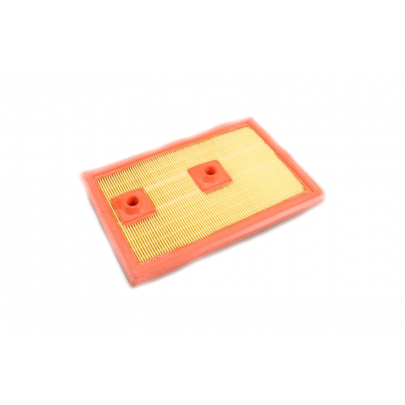 Фільтр повітряний Volkswagen Tiguan / Фольксваген Тігуан 1.4 (бензин) 2007-2016 RF1816WB GOODREM (Угорщина)