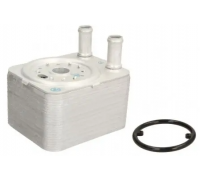 Радіатор масляний / теплообмінник (119x98x72) Volkswagen Tiguan / Фольксваген Тігуан 2.0TDI 2007-2016 DRM211005 DR.MOTOR (Польща)