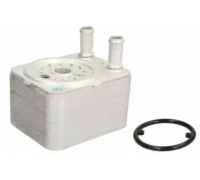 Радіатор масляний / теплообмінник (148x145x45) Volkswagen Tiguan / Фольксваген Тігуан 2.0TDI 2007-2016 DRM211025 DR.MOTOR (Польща)