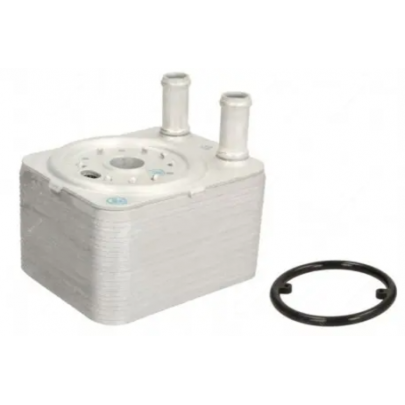 Радиатор масляный / теплообменник (148x145x45) Volkswagen Tiguan / Фольксваген Тигуан 2.0TDI 2007-2016 DRM211025 DR.MOTOR (Польша)