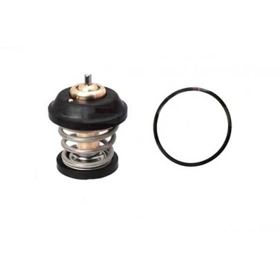 Термостат (вставка) Volkswagen Tiguan / Фольксваген Тигуан 2.0 (бензин) 2007-2016 1880743 EPS (Италия)