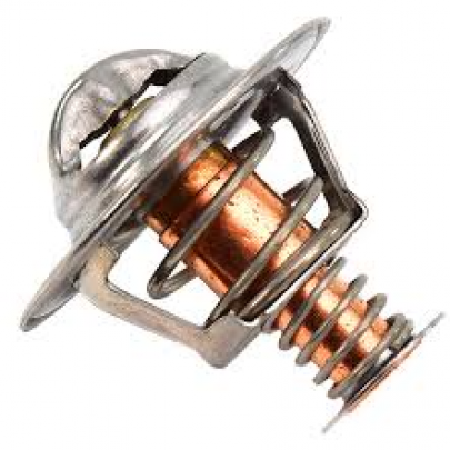 Термостат (вставка) Volkswagen Tiguan / Фольксваген Тигуан 2.0TDI 2007-2016 3381111 SASIC (Франция)