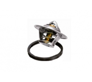 Термостат (вставка) Volkswagen Tiguan / Фольксваген Тігуан 2.0TDI 2007-2016 73587 ASAM (Румунія)