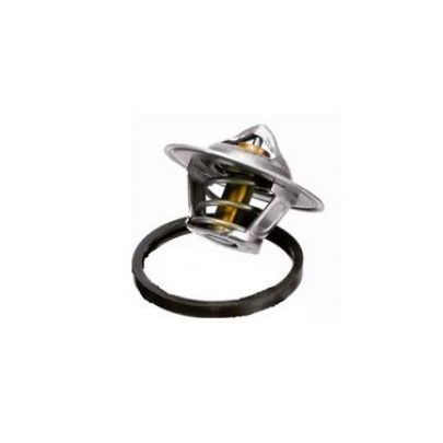 Термостат (вставка) Volkswagen Tiguan / Фольксваген Тігуан 2.0TDI 2007-2016 73587 ASAM (Румунія)