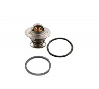 Термостат (вставка) Volkswagen Tiguan / Фольксваген Тігуан 2.0TDI 2007-2016 T003 FARE (Іспанія)