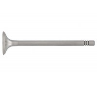 Клапан випускний Volkswagen Golf 5 / Фольксваген Гольф 5 1.4 / 1.6 (бензин) 2003-2009 108021 TOPRAN (Німеччина)