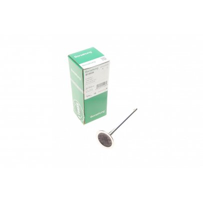 Клапан впускний Volkswagen Golf 5 / Фольксваген Гольф 5 2.0 (бензин) 2003-2009 B19026 BORSEHUNG (Німеччина)