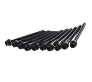 Болти головки двигуна (комплект, 10шт) Volkswagen Golf 5 / Фольксваген Гольф 5 2.0 (бензин) 2003-2009 109547 TOPRAN (Німеччина)