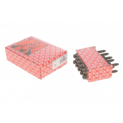 Болты головки двигателя (комплект, 10шт) Volkswagen Golf 5 / Фольксваген Гольф 5 2.0 (бензин) 2003-2009 804.870 ELRING (Германия)