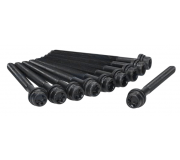 Болти головки двигуна (комплект, 10шт) Volkswagen Golf 5 / Фольксваген Гольф 5 2.0 (бензин) 2003-2009 81019300 AJUSA (Іспанія)