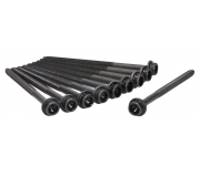 Болти головки двигуна (комплект, 10шт) Volkswagen Golf 5 / Фольксваген Гольф 5 1.4 / 1.6 (бензин) 2003-2009 81025800 AJUSA (Іспанія)