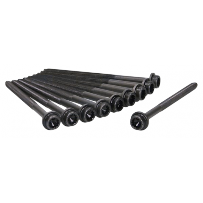 Болти головки двигуна (комплект, 10шт) Volkswagen Golf 5 / Фольксваген Гольф 5 1.4 / 1.6 (бензин) 2003-2009 81025800 AJUSA (Іспанія)