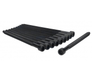 Болти головки двигуна (комплект, 10шт) Volkswagen Golf 5 / Фольксваген Гольф 5 1.9TDI / 2.0TDI / 2.0SDI 2003-2009 81026000 AJUSA (Іспанія)